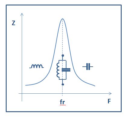 Fig1